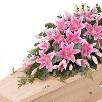 Lily Casket Spray  Pink *